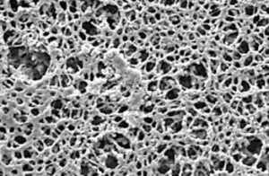 Filtros de membrana de Polietersulfona