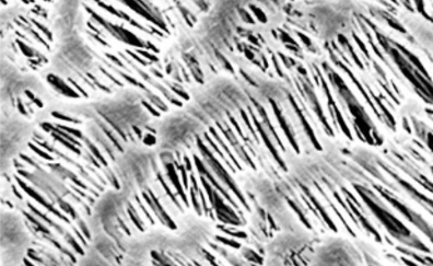 Filtros de membrana de Politetrafluoroetileno (PTFE)