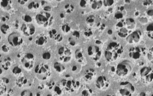 Filtros de membrana de acetato de celulose